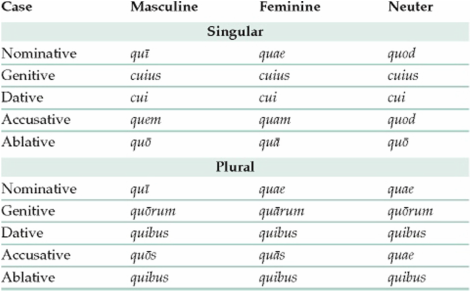 Latin Adjectives Chart